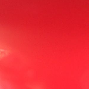 Meet your Posher, Liz